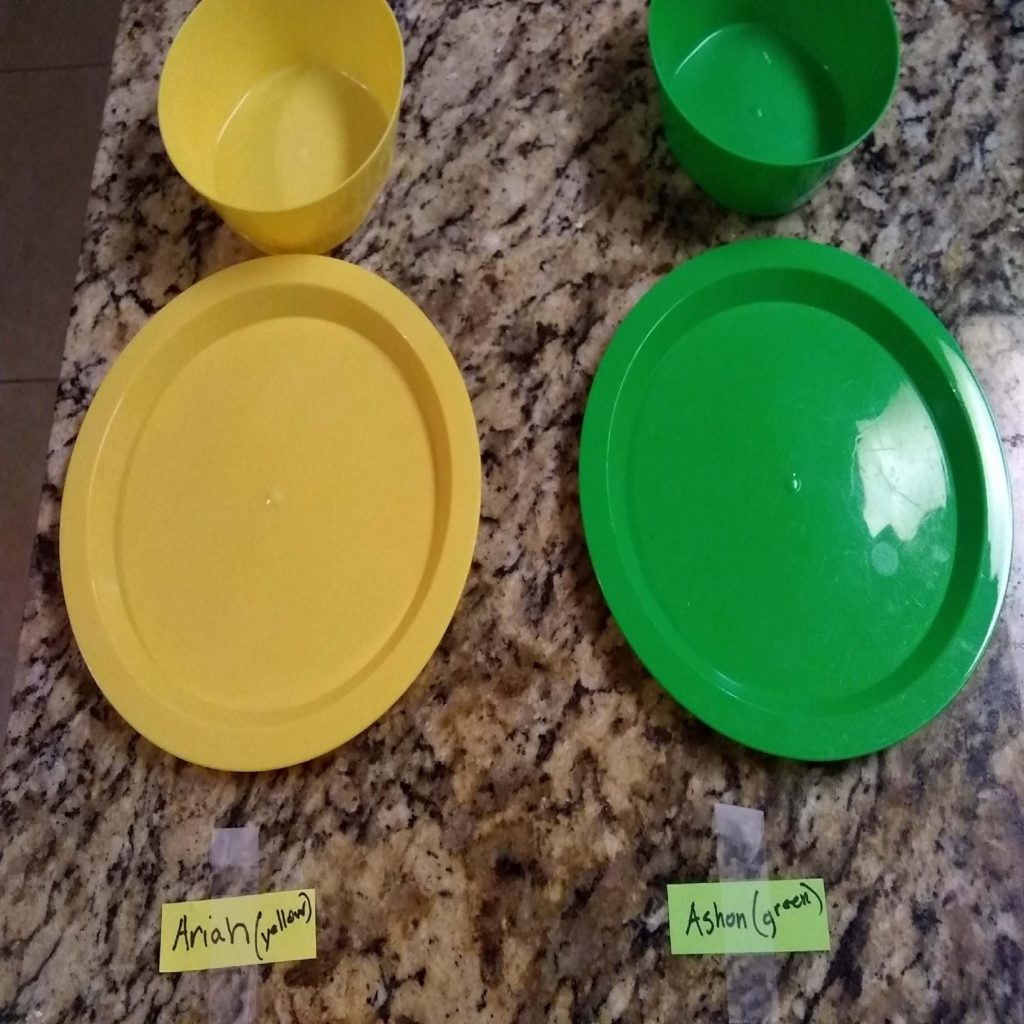 A yellow bowl and plate for Ariah and a green bowl and plate for Ashon.